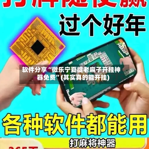 软件分享“微乐宁夏捉老麻子开挂神器免费	”(其实真的能开挂)-第2张图片