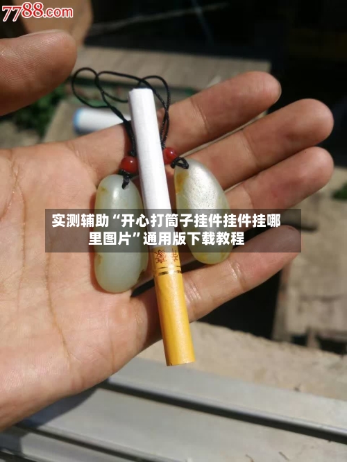 实测辅助“开心打筒子挂件挂件挂哪里图片”通用版下载教程-第3张图片