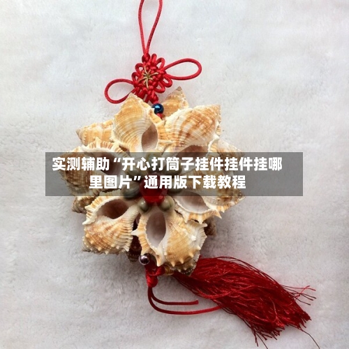 实测辅助“开心打筒子挂件挂件挂哪里图片”通用版下载教程-第2张图片