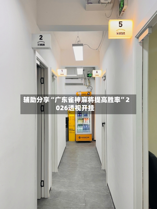辅助分享“广东雀神麻将提高胜率	”2026透视开挂-第2张图片