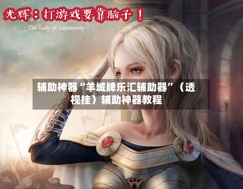 辅助神器“羊城牌乐汇辅助器”（透视挂）辅助神器教程-第3张图片