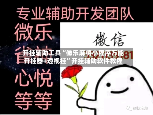 开挂辅助工具“微乐麻将小程序万能开挂器+透视挂”开挂辅助软件教程-第2张图片