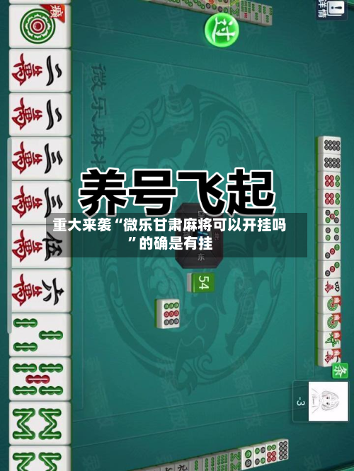 重大来袭“微乐甘肃麻将可以开挂吗	”的确是有挂-第2张图片