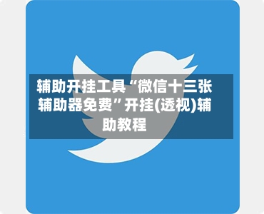 辅助开挂工具“微信十三张辅助器免费”开挂(透视)辅助教程-第2张图片