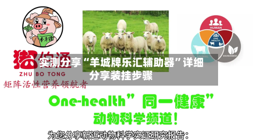 实测分享“羊城牌乐汇辅助器”详细分享装挂步骤