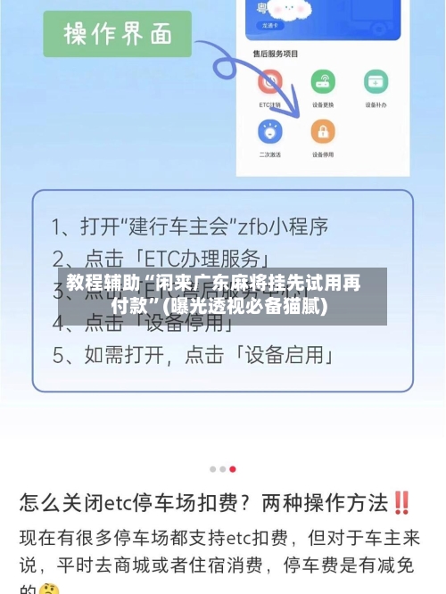 教程辅助“闲来广东麻将挂先试用再付款	”(曝光透视必备猫腻)-第2张图片