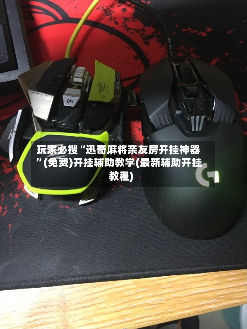 玩家必搜“迅奇麻将亲友房开挂神器”(免费)开挂辅助教学(最新辅助开挂教程)-第3张图片
