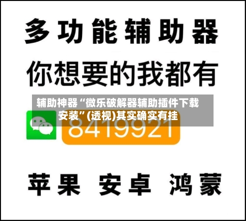 辅助神器“微乐破解器辅助插件下载安装”(透视)其实确实有挂