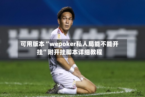 可用版本“wepoker私人局能不能开挂”附开挂脚本详细教程-第2张图片