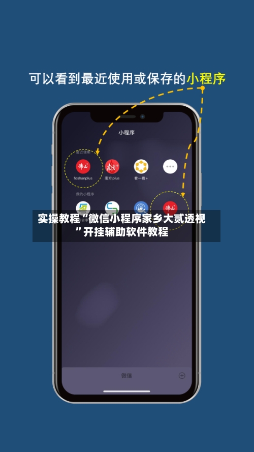 实操教程“微信小程序家乡大贰透视”开挂辅助软件教程-第3张图片