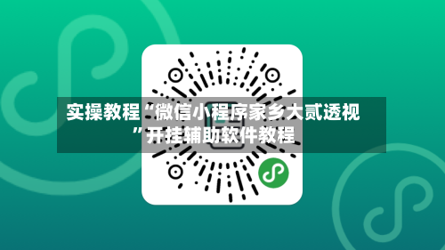 实操教程“微信小程序家乡大贰透视	”开挂辅助软件教程-第2张图片