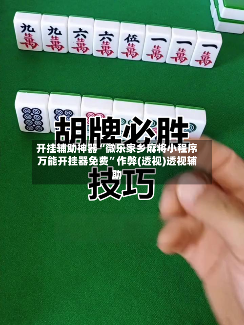 开挂辅助神器“微乐家乡麻将小程序万能开挂器免费	”作弊(透视)透视辅助-第3张图片