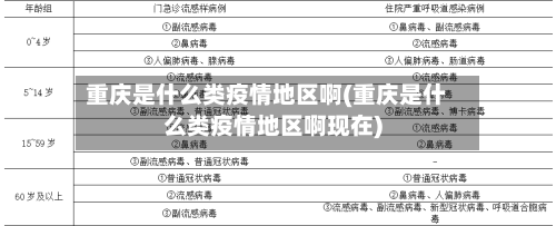 重庆是什么类疫情地区啊(重庆是什么类疫情地区啊现在)-第2张图片