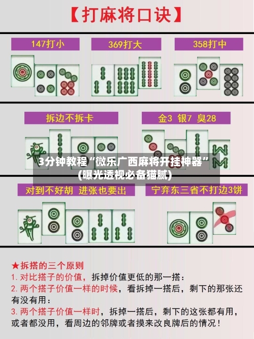 3分钟教程“微乐广西麻将开挂神器”(曝光透视必备猫腻)-第2张图片