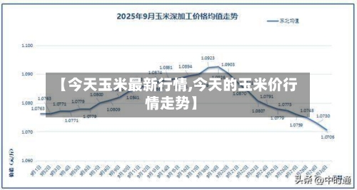 【今天玉米最新行情,今天的玉米价行情走势】