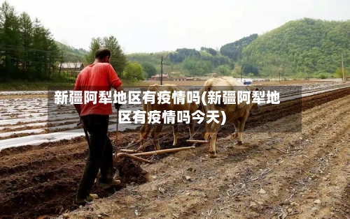 新疆阿犁地区有疫情吗(新疆阿犁地区有疫情吗今天)-第2张图片