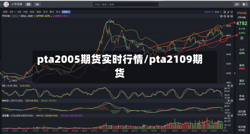 pta2005期货实时行情/pta2109期货