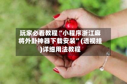 玩家必看教程“小程序浙江麻将外卦神器下载安装”(透视挂)详细用法教程-第2张图片