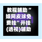 教程辅助“娱网皮球免费挂”开挂(透视)辅助神器-第2张图片