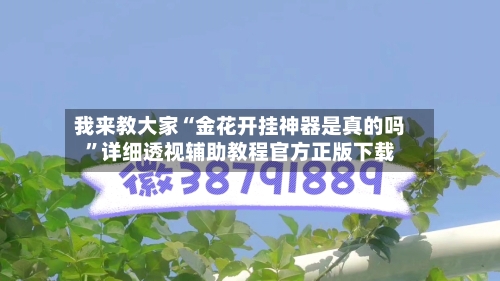 我来教大家“金花开挂神器是真的吗”详细透视辅助教程官方正版下载-第3张图片