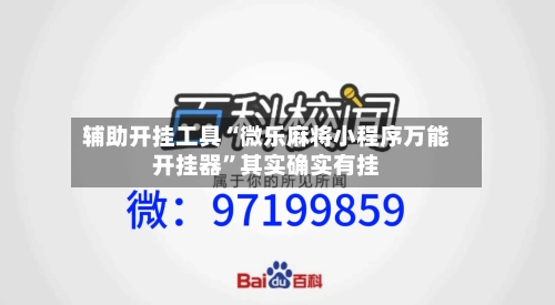 辅助开挂工具“微乐麻将小程序万能开挂器”其实确实有挂-第2张图片