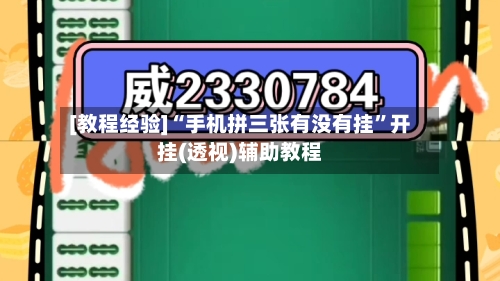 [教程经验]“手机拼三张有没有挂	”开挂(透视)辅助教程-第2张图片