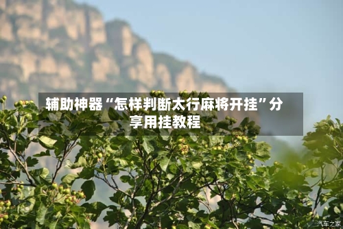辅助神器“怎样判断太行麻将开挂	”分享用挂教程-第2张图片