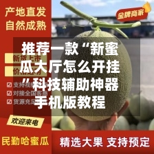 推荐一款“新蜜瓜大厅怎么开挂”科技辅助神器手机版教程-第2张图片