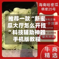 推荐一款“新蜜瓜大厅怎么开挂”科技辅助神器手机版教程