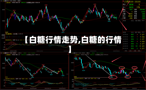 【白糖行情走势,白糖的行情】