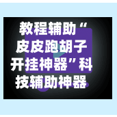 教程辅助“皮皮跑胡子开挂神器”科技辅助神器手机版教程