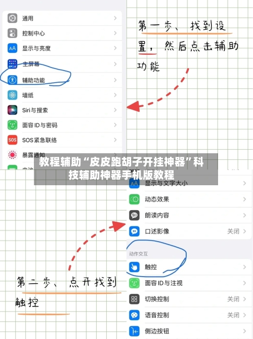教程辅助“皮皮跑胡子开挂神器”科技辅助神器手机版教程-第3张图片