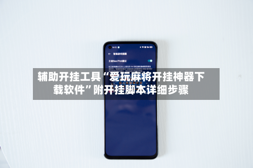 辅助开挂工具“爱玩麻将开挂神器下载软件”附开挂脚本详细步骤