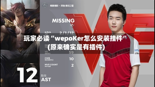 玩家必读“wepoKer怎么安装挂件”(原来确实是有插件)-第3张图片
