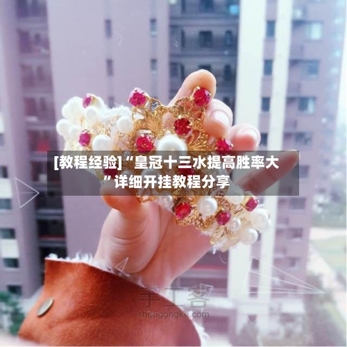 [教程经验]“皇冠十三水提高胜率大”详细开挂教程分享-第2张图片