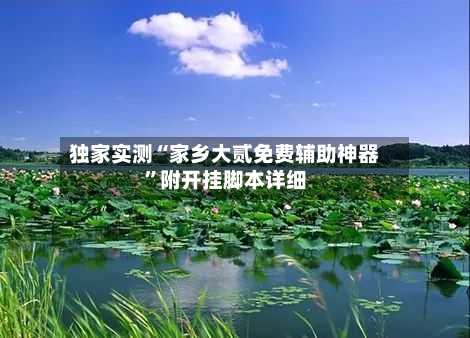 独家实测“家乡大贰免费辅助神器”附开挂脚本详细