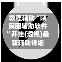 教程辅助“陕麻圈辅助软件”开挂(透视)最新辅助详细-第2张图片