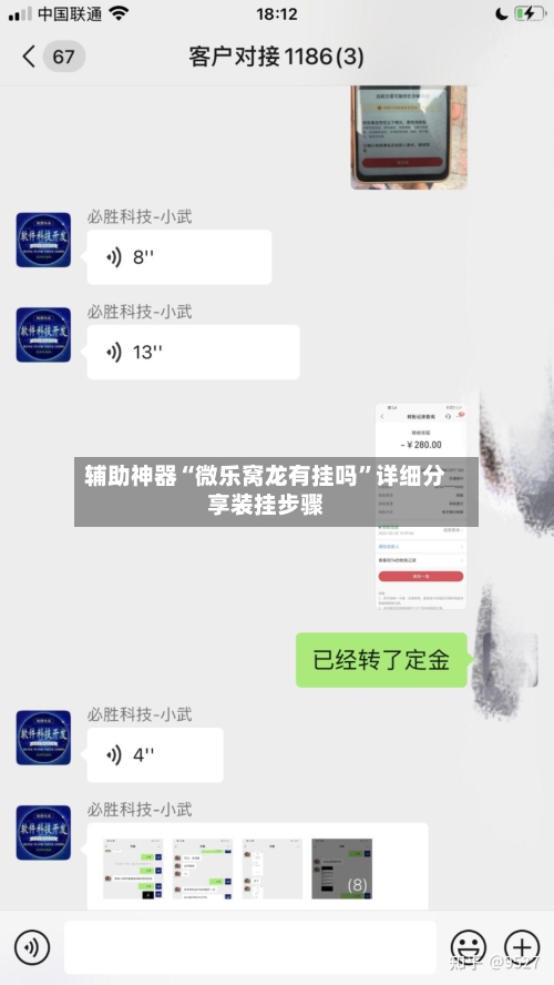 辅助神器“微乐窝龙有挂吗”详细分享装挂步骤