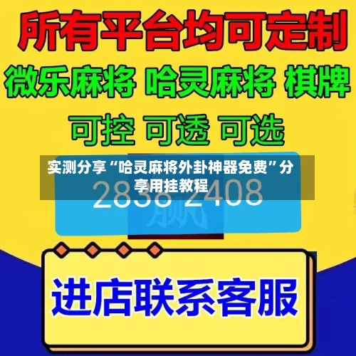 实测分享“哈灵麻将外卦神器免费”分享用挂教程-第3张图片
