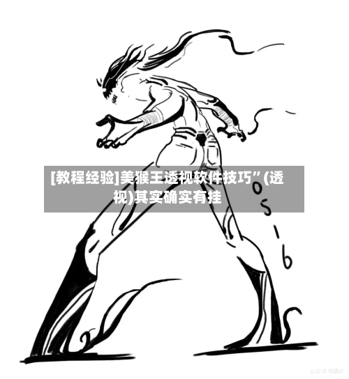 [教程经验]美猴王透视软件技巧”(透视)其实确实有挂