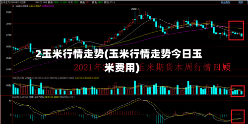 2玉米行情走势(玉米行情走势今日玉米费用)