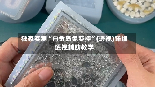 独家实测“白金岛免费挂”(透视)详细透视辅助教学