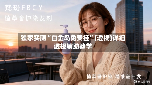 独家实测“白金岛免费挂”(透视)详细透视辅助教学-第3张图片