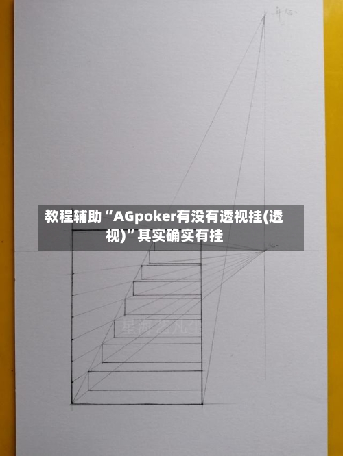 教程辅助“AGpoker有没有透视挂(透视)”其实确实有挂-第2张图片