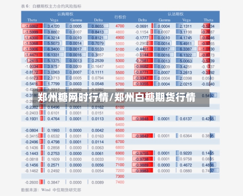 郑州糖网时行情/郑州白糖期货行情