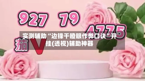实测辅助“边锋干瞪眼作弊口诀	”开挂(透视)辅助神器-第2张图片