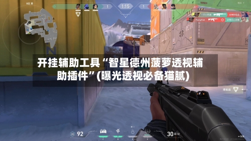 开挂辅助工具“智星德州菠萝透视辅助插件	”(曝光透视必备猫腻)-第3张图片