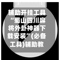 辅助开挂工具“蜀山四川麻将外卦神器下载安装”(必备工具)辅助教学-第2张图片