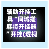 辅助开挂工具“同城搓麻将开挂器	”开挂(透视)辅助-第2张图片