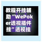 教程开挂辅助“WePoker透视插件挂”透视挂!详细分享装挂步骤